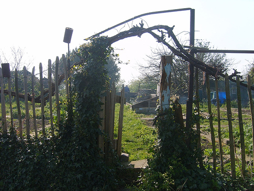 Still from Olympic Manor Gardens Allotments