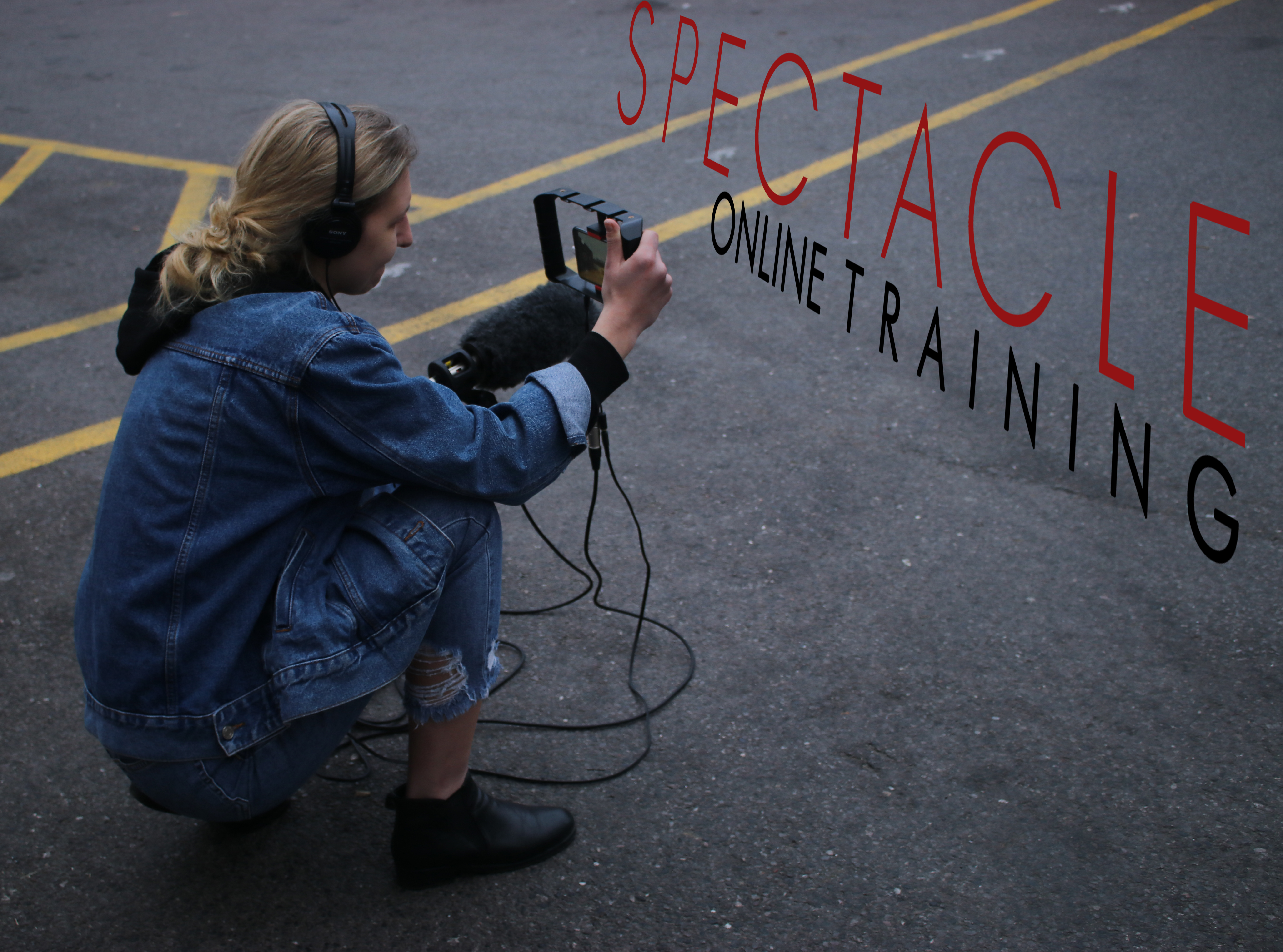 Online Video Training