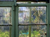Still image from Olympic The Late Manor Gardens Allotments 