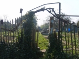 Still image from Olympic Manor Gardens Allotments
